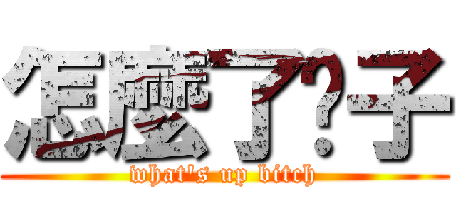 怎麼了婊子 (what\'s up bitch)