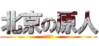 北京の原人 (咖喱教授)