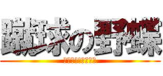 蹴球の野蝶 (頑張れ!!ニッポン)