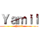 Ｙａｍｉｌ (Yamil)