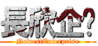 長欣企业 (NewestEnterprise)