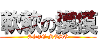 軟軟の摸摸 (SOFT MOMO)