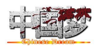 中国梦 (Chinese Dream)