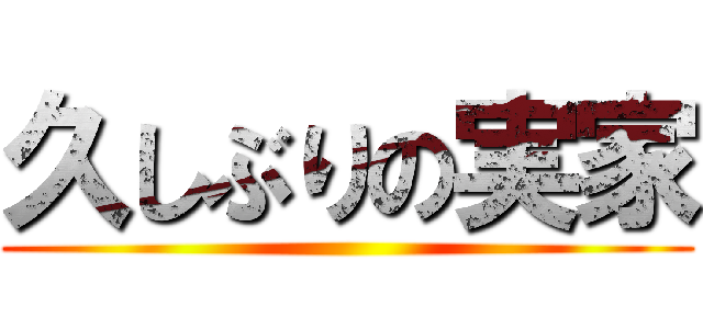 久しぶりの実家 ()