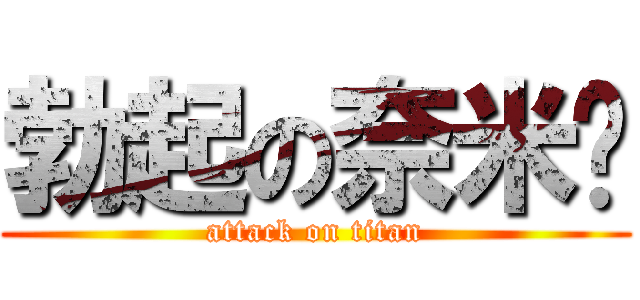 勃起の奈米屌 (attack on titan)