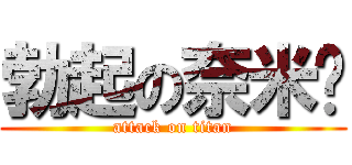勃起の奈米屌 (attack on titan)