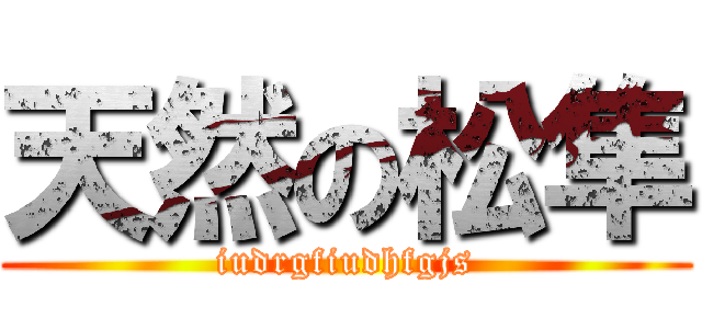 天然の松隼 (iudrgfiudhfgjs)