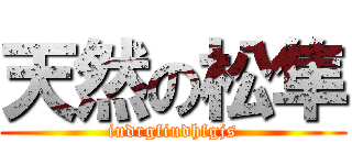 天然の松隼 (iudrgfiudhfgjs)