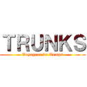 ＴＲＵＮＫＳ (Voyageur du Temps)