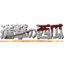 進撃の西瓜 (attack on watermellon)