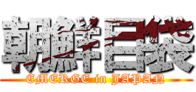 朝鮮目袋 (EMERGE in JAPAN)