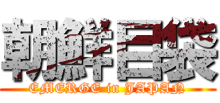 朝鮮目袋 (EMERGE in JAPAN)