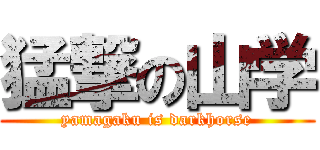 猛撃の山学 (yamagaku is darkhorse)