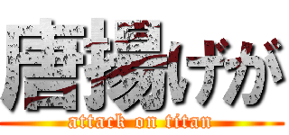 唐揚げが (attack on titan)