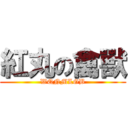 紅丸の禽獸 (WQNMLGB)