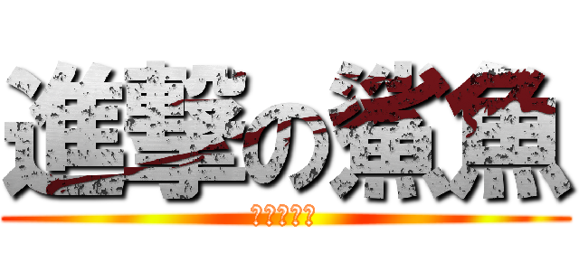 進撃の鯊魚 (進撃の鯊魚)