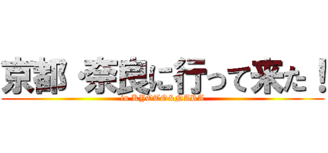 京都·奈良に行って来た！ (in KYOTO&NARA)