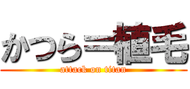 かつら＝植毛 (attack on titan)