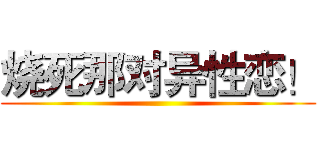 烧死那对异性恋！ ()