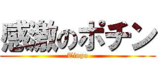 感激のポチン (Tinpo)