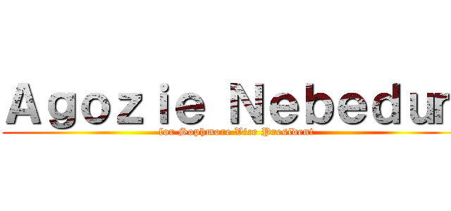 Ａｇｏｚｉｅ Ｎｅｂｅｄｕｍ (for Sophmore Vice President)