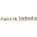 Ａｇｏｚｉｅ Ｎｅｂｅｄｕｍ (for Sophmore Vice President)