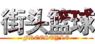 街头篮球 (FREESTYLE)