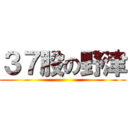 ３７股の野津 ()