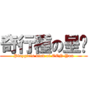 奇行種の呈筠 (Playgirls kind of CEN Yun)