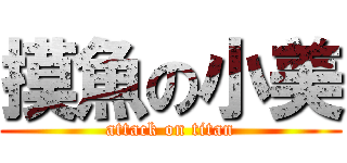 摸魚の小美 (attack on titan)