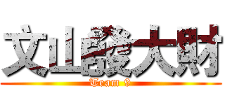 文山發大財 (Team 9)