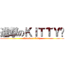 進撃のＫＩＴＴＹ貓 (Attack on Kitty)