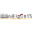 进击のＢｉｇＣａｔ５ (attack on titan)
