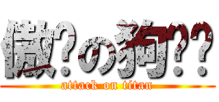 傲娇の狗粑粑 (attack on titan)