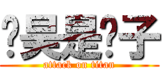 张昊是傻子 (attack on titan)