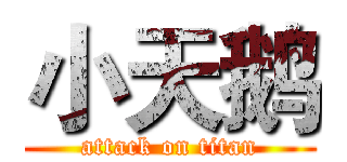 小天鹅 (attack on titan)