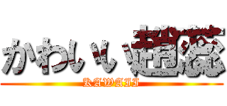 かわいい趙蕊 (KAWAII)