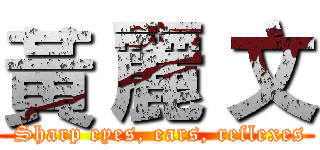 黃 麗 文 (  Sharp eyes, ears, reflexes )