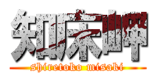 知床岬 (shiretoko misaki)