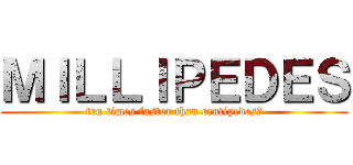 ＭＩＬＬＩＰＥＤＥＳ (ten times faster than centipedes?)