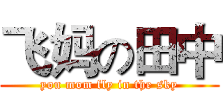 飞妈の田中 (you mom fly in the sky)