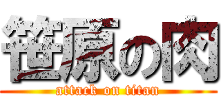 笹原の肉 (attack on titan)