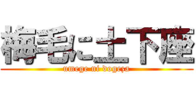 梅毛に土下座 (umege ni dogeza)