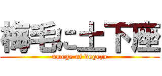 梅毛に土下座 (umege ni dogeza)