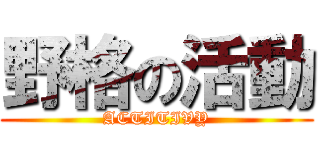 野格の活動 (ACTITIVY)