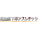 拓也県下半アスレチック (attack on titan)