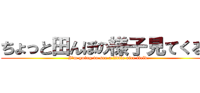 ちょっと田んぼの様子見てくる。 (I'm going to see a little rice field.)