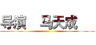 导演    马天成      ()