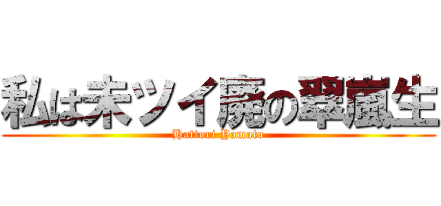 私は未ツイ廃の翠嵐生 (Hattori Yamato)