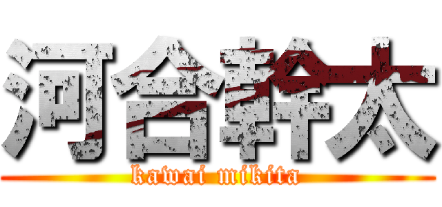 河合幹太 (kawai mikita)